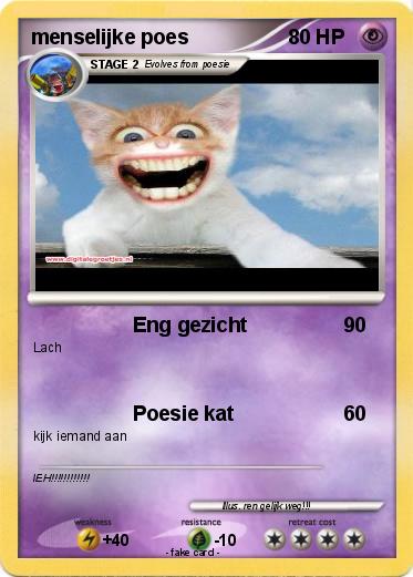 Pokemon menselijke poes