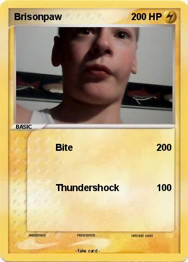 Pokemon Brisonpaw