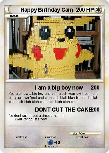 Pokemon Happy Birthday Cam