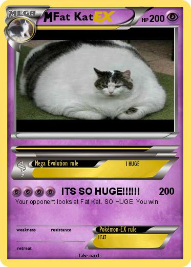 Pokemon Fat Kat