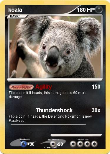 Pokemon koala