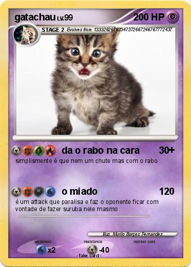 Pokemon gatachau