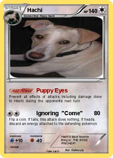 Pokemon Hachi