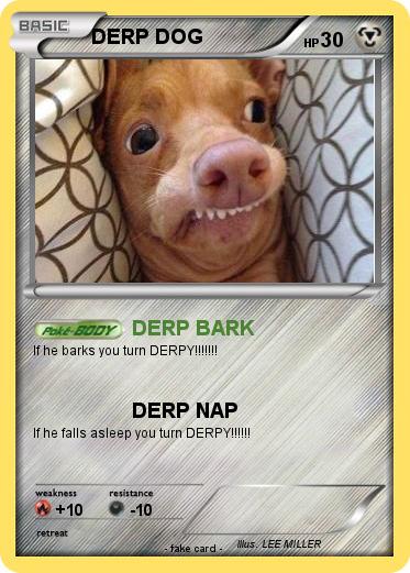 Pokemon DERP DOG