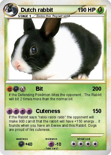 Pokemon Dutch rabbit