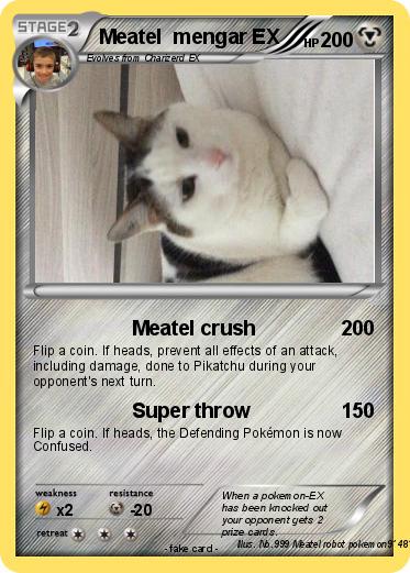 Pokemon Meatel  mengar EX