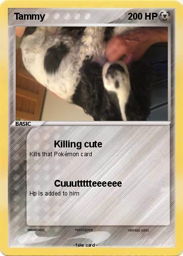 Pokemon Tammy