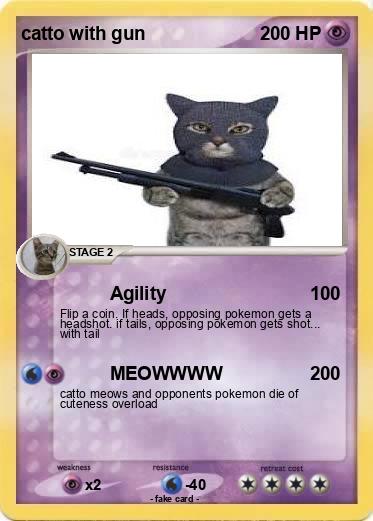 Pokemon catto with gun
