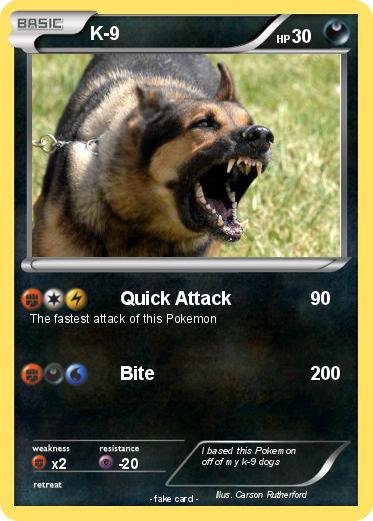 Pokemon K-9