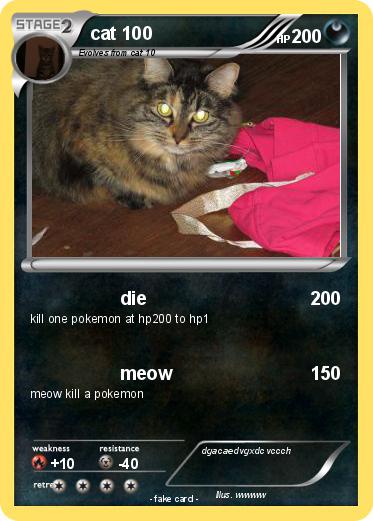 Pokemon cat 100