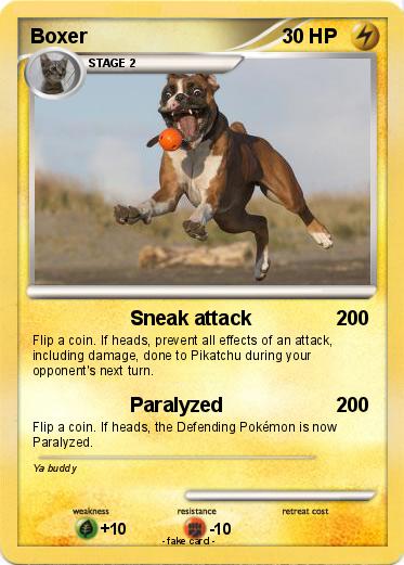 Pokemon Boxer
