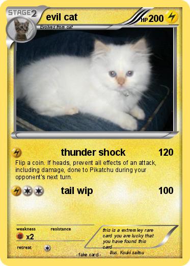 Pokemon evil cat