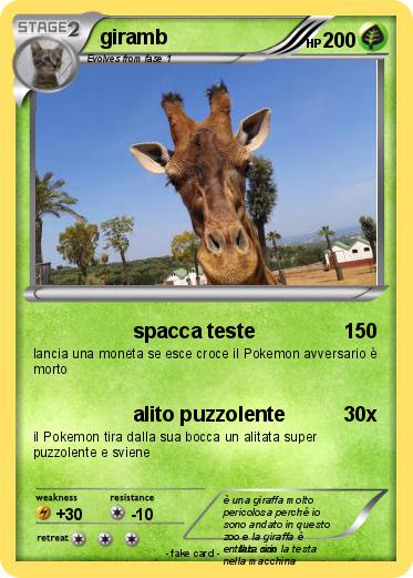Pokemon giramb