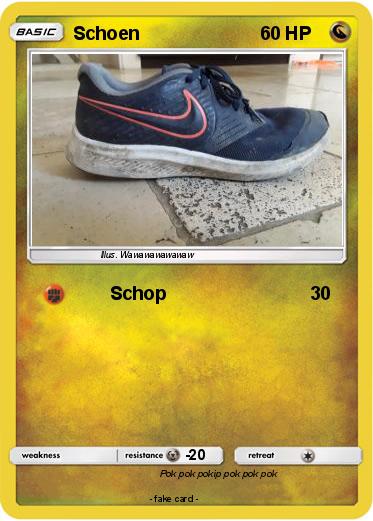 Pokemon Schoen
