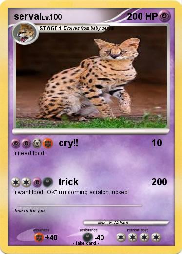 Pokemon serval