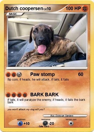 Pokemon Dutch coopersen