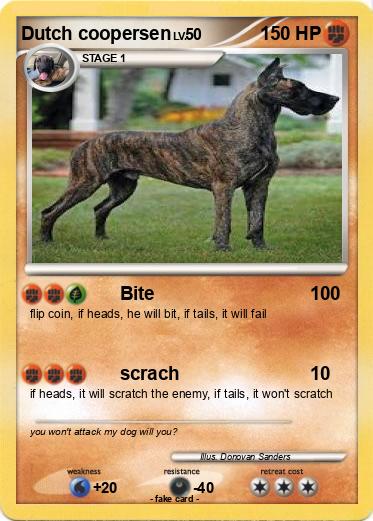 Pokemon Dutch coopersen