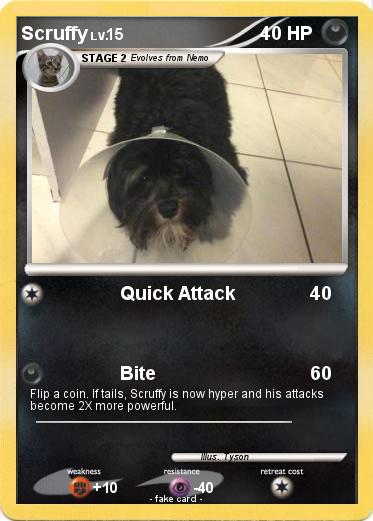 Pokemon Scruffy