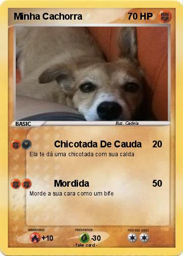 Pokemon Minha Cachorra