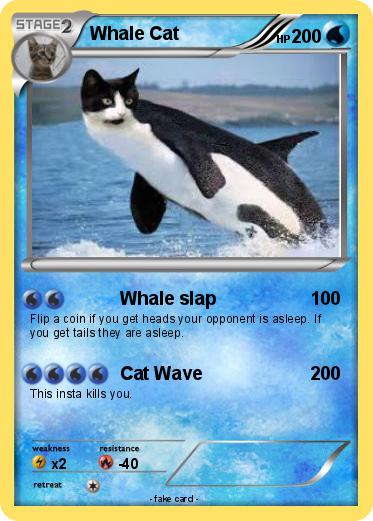 Pokemon Whale Cat