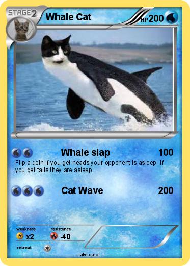 Pokemon Whale Cat