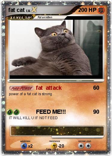 Pokemon fat cat