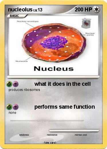 Pokemon nucleolus