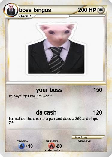Pokemon boss bingus