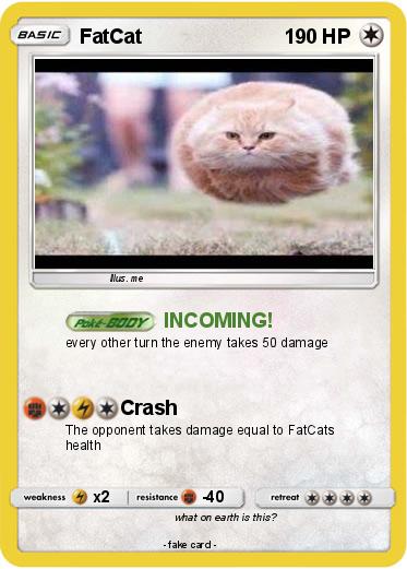 Pokemon FatCat