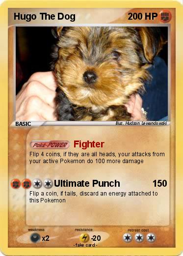 Pokemon Hugo The Dog