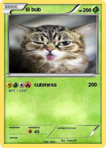 Pokemon lil bub