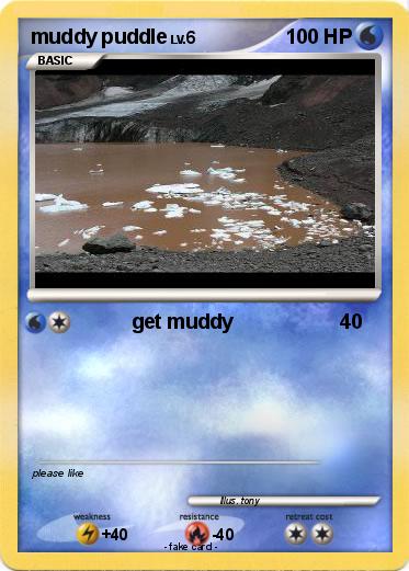 Pokemon muddy puddle