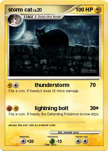 Pokemon storm cat