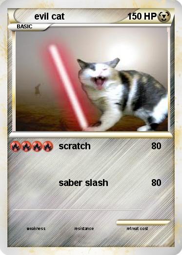Pokemon evil cat
