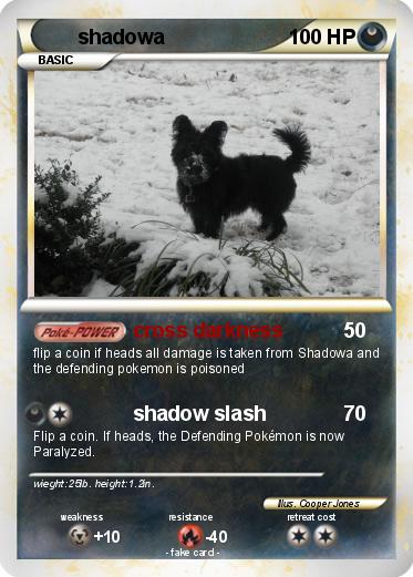 Pokemon shadowa