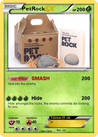 Pokemon PetRock