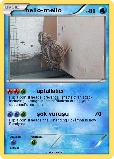 Pokemon hello-mello