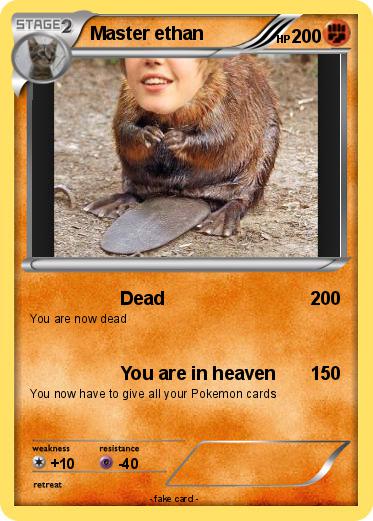 Pokemon Master ethan