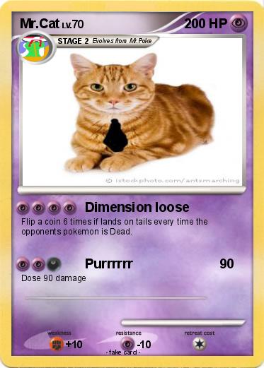 Pokemon Mr.Cat