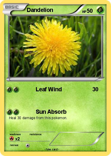 Pokemon Dandelion