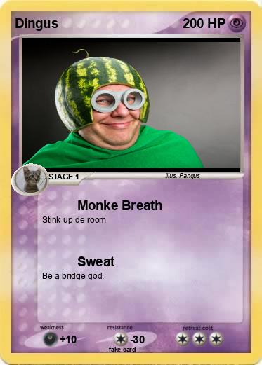 Pokemon Dingus