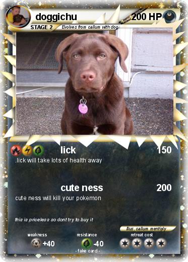 Pokemon doggichu