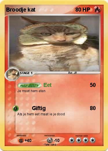 Pokemon Broodje kat
