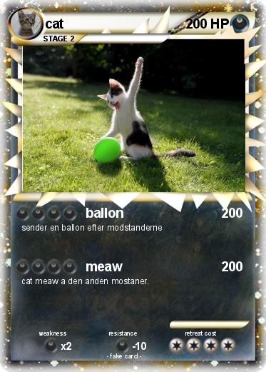 Pokemon cat