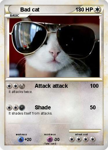 Pokemon Bad cat