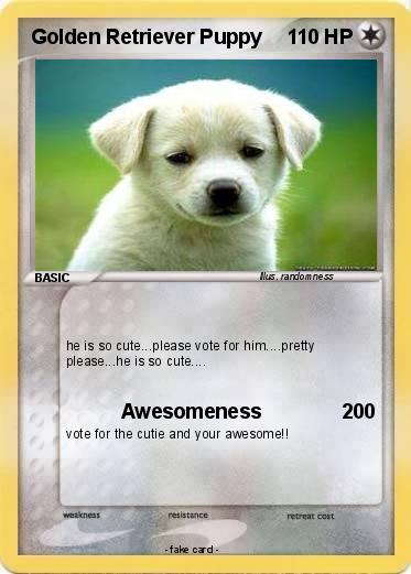 Pokemon Golden Retriever Puppy