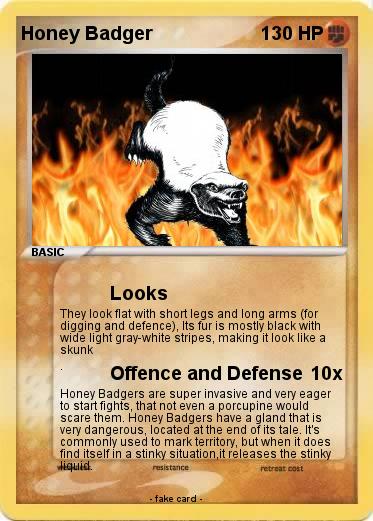 Pokemon Honey Badger