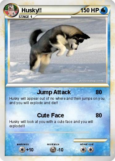 Pokemon Husky!!
