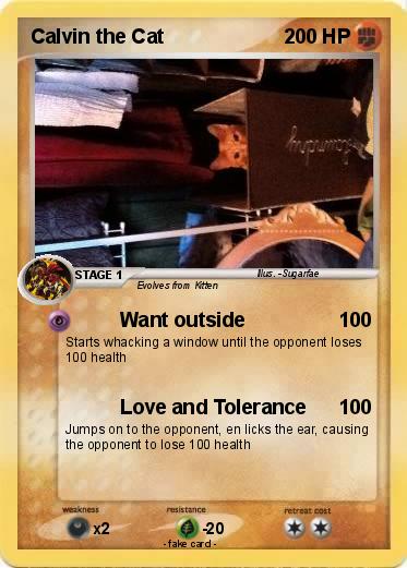 Pokemon Calvin the Cat