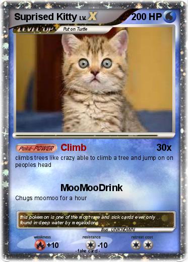 Pokemon Suprised Kitty
